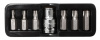 Набор бит TORX с битодержателем,7 предметов 1/2"(L:30мм;Т25,Т30,Т40,Т45,Т50,Т55), в ложементе Forsag. Большой выбор на сайте Трейдимпорт